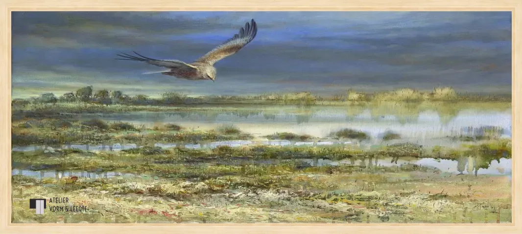 Bruine kiekendief - Erik van Ommen - in baklijst Atelier naturel 10mm