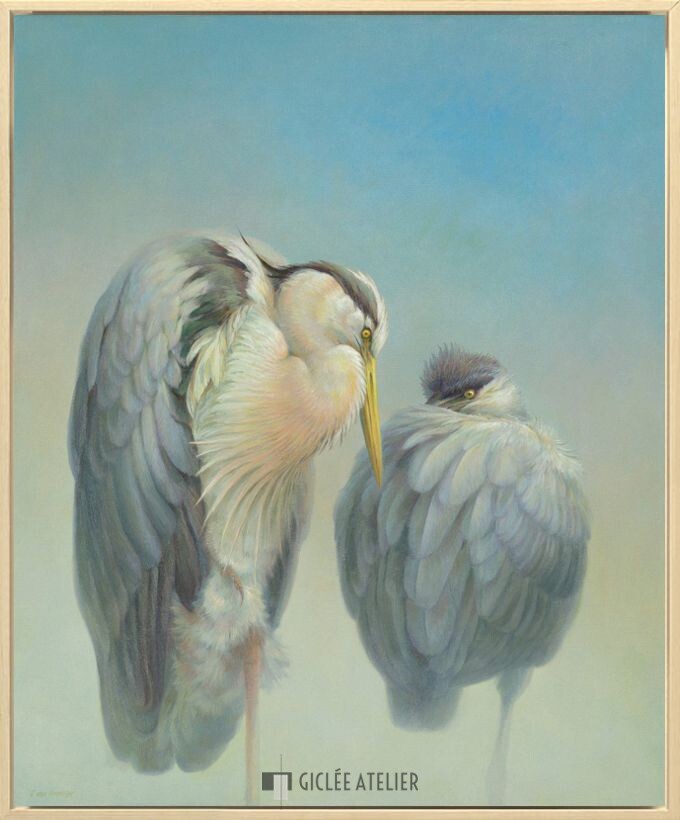 Twee reigers - Afbeelding 2
