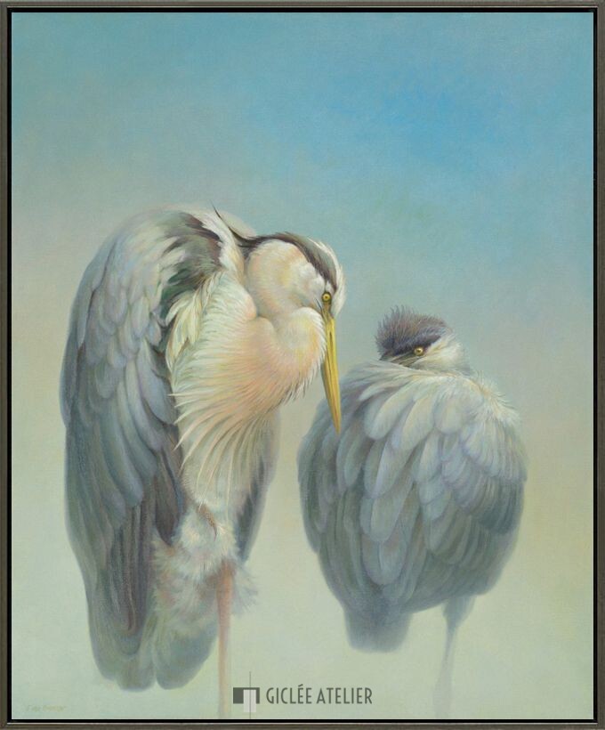 Twee reigers - Afbeelding 5