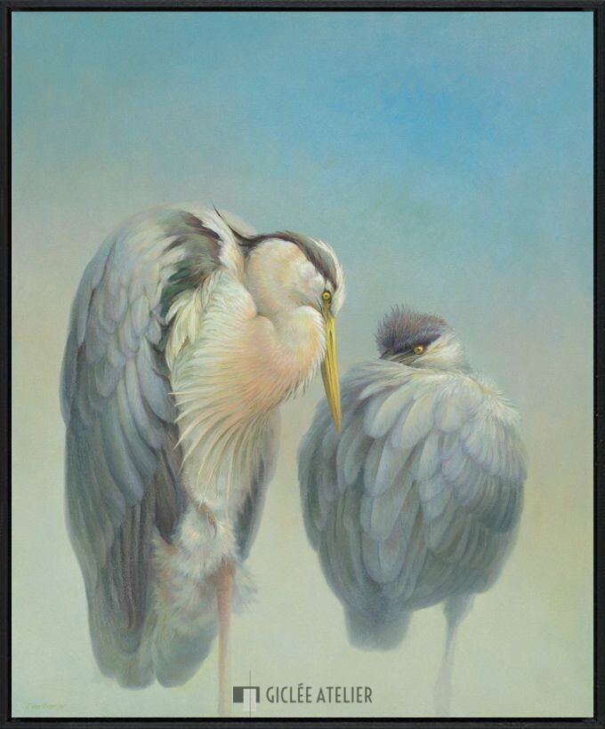 Twee reigers - Afbeelding 4
