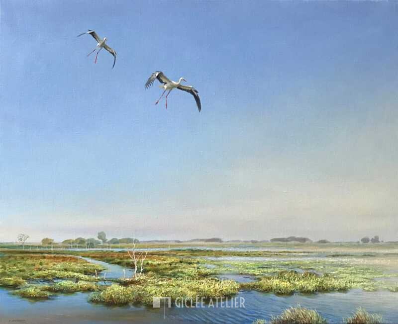 Landende ooievaars - Erik van Ommen - gicleekunst