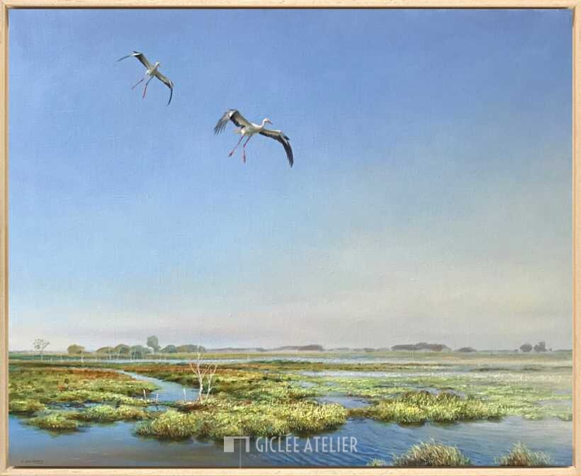 Landende ooievaars in het Hunzedal - Afbeelding 3