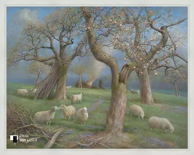 Schapen in de boomgaard - Patrick Creyghton - in baklijst Steps wit 15mm