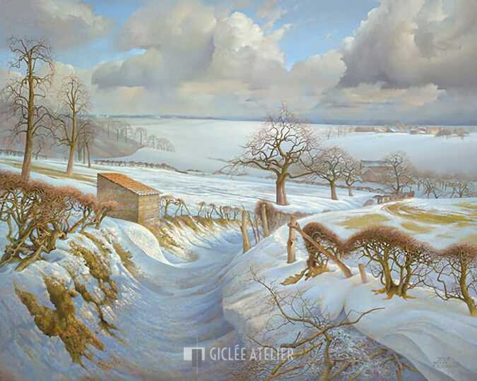 Uitzicht op Harles - Patrick Creyghton - gicleekunst