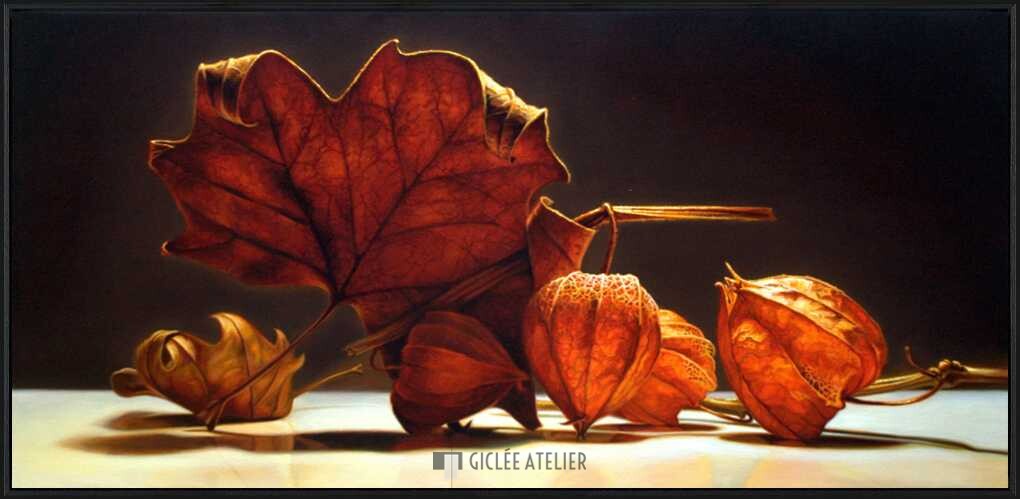 Lampionnetjes - Afbeelding 4