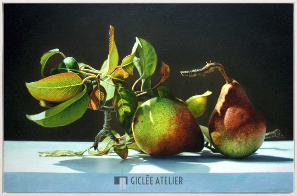 Peren - Afbeelding 3