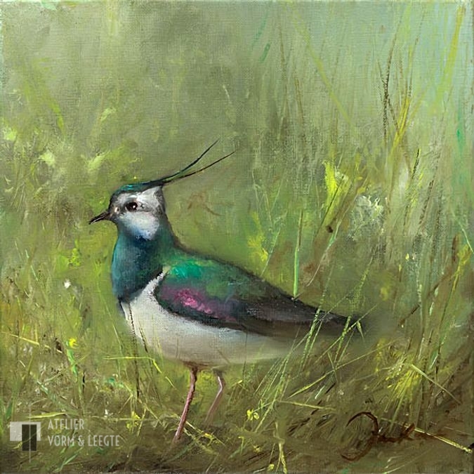 Kievit - Jan Kooistra - gicleekunst