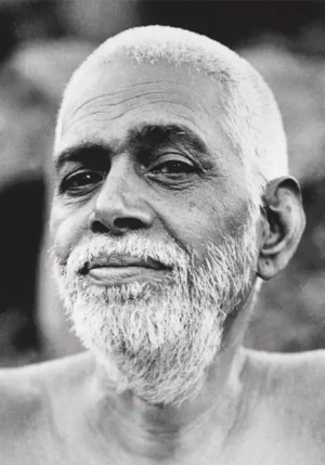 Seen by the guru
