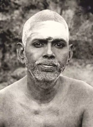 Vibhuti