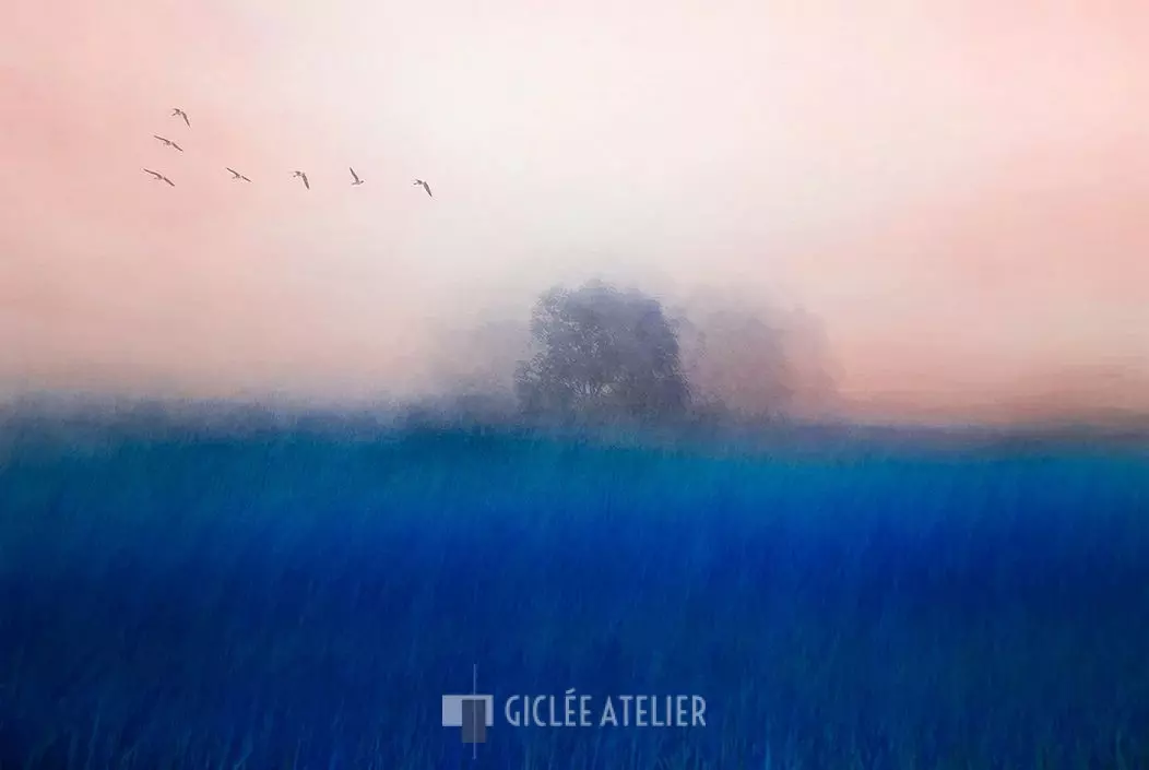 The Tree on the Blue - Chunggook Yang - gicleekunst