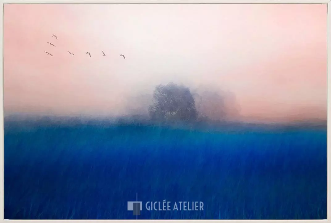 The Tree on the Blue - Afbeelding 2
