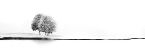 United - Marc Huybrighs - gicleekunst