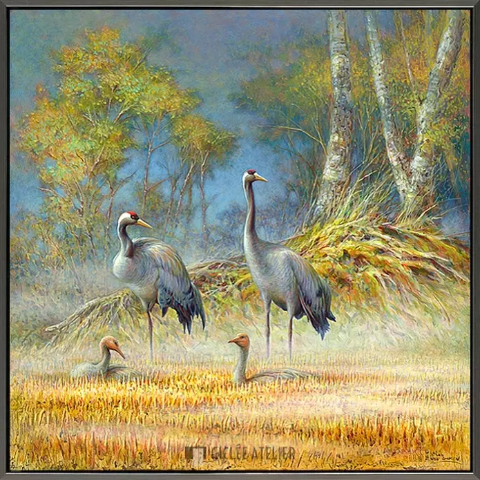 Kraanvogels in landschap - Afbeelding 5