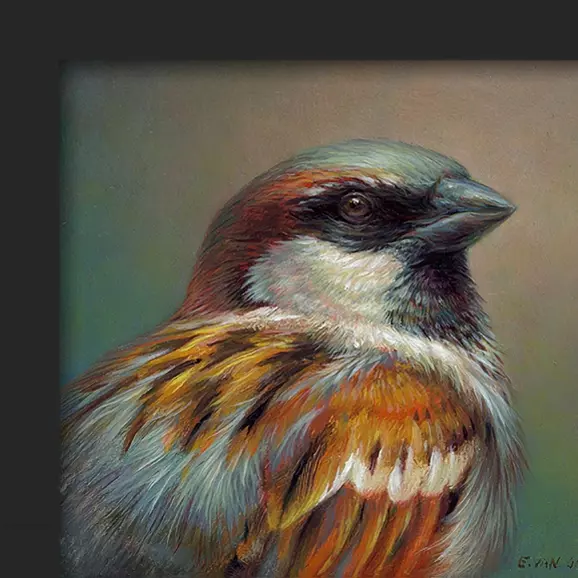 Portret van een huismus - Afbeelding 2