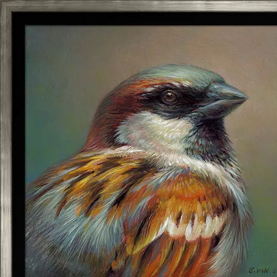 Portret van een huismus - Afbeelding 4