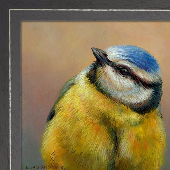 Portret van een pimpelmees - Afbeelding 5