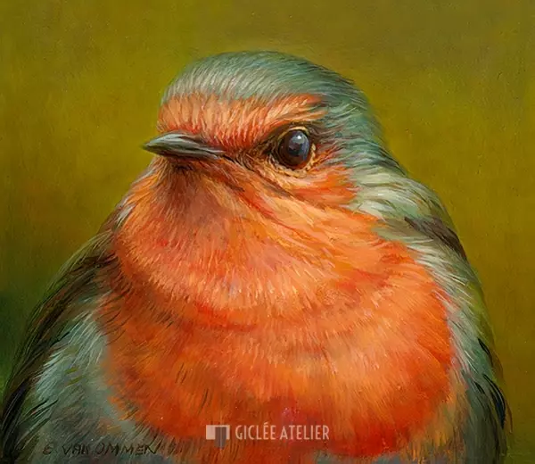 Portret van een roodborst