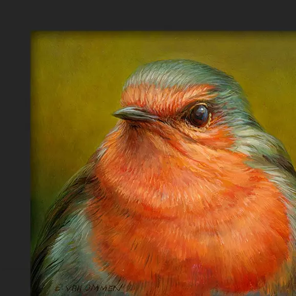 Portret van een roodborst - Afbeelding 2