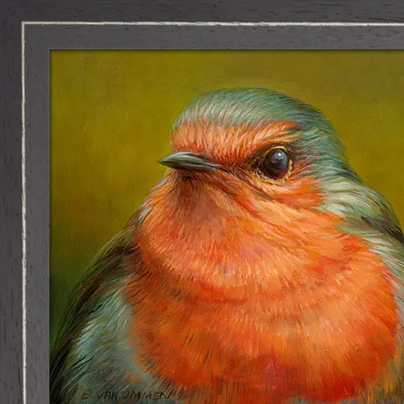 Portret van een roodborst - Afbeelding 5