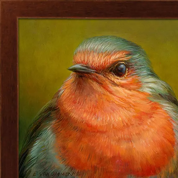 Portret van een roodborst - Afbeelding 3