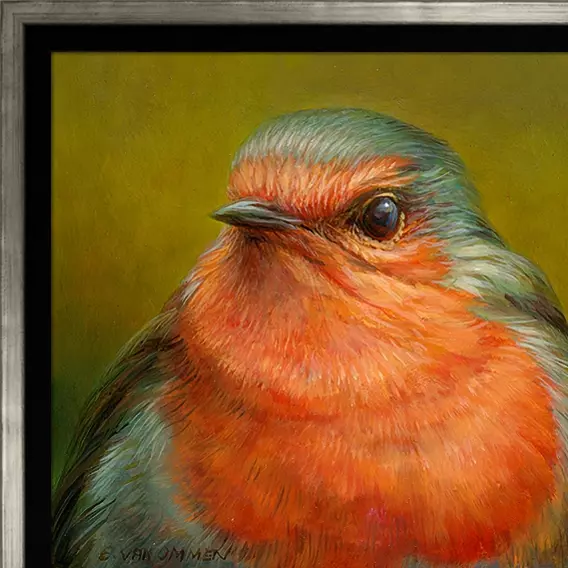 Portret van een roodborst - Afbeelding 4