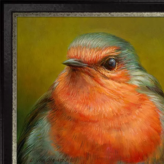Portret van een roodborst - Afbeelding 6