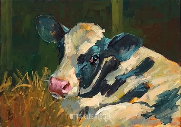 Kalf zwartbont - Theo Onnes - giclee op canvas