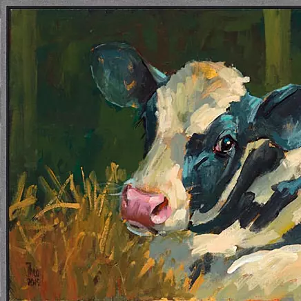 Kalf zwartbont - Afbeelding 6