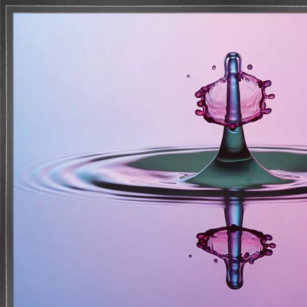 Pink Lady - Afbeelding 5