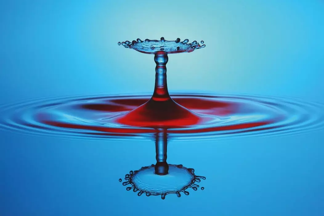 The Chalice - Tobias Bräuning - fotokunst op canvas