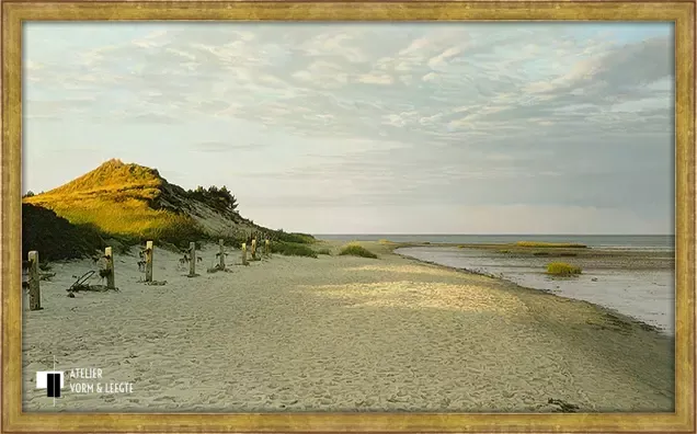 Romo - Peter van der Ploeg - 50x30 giclee in Icona 15mm verguld