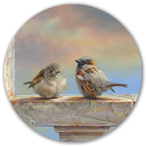 Mussen - Erik van Ommen - Art Circle op dibond